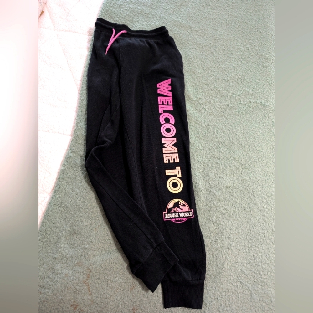 Jurassic World sweatpants